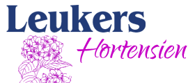 Gartenbau Leukerss - Profi für Hortensien